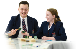 Languages students
