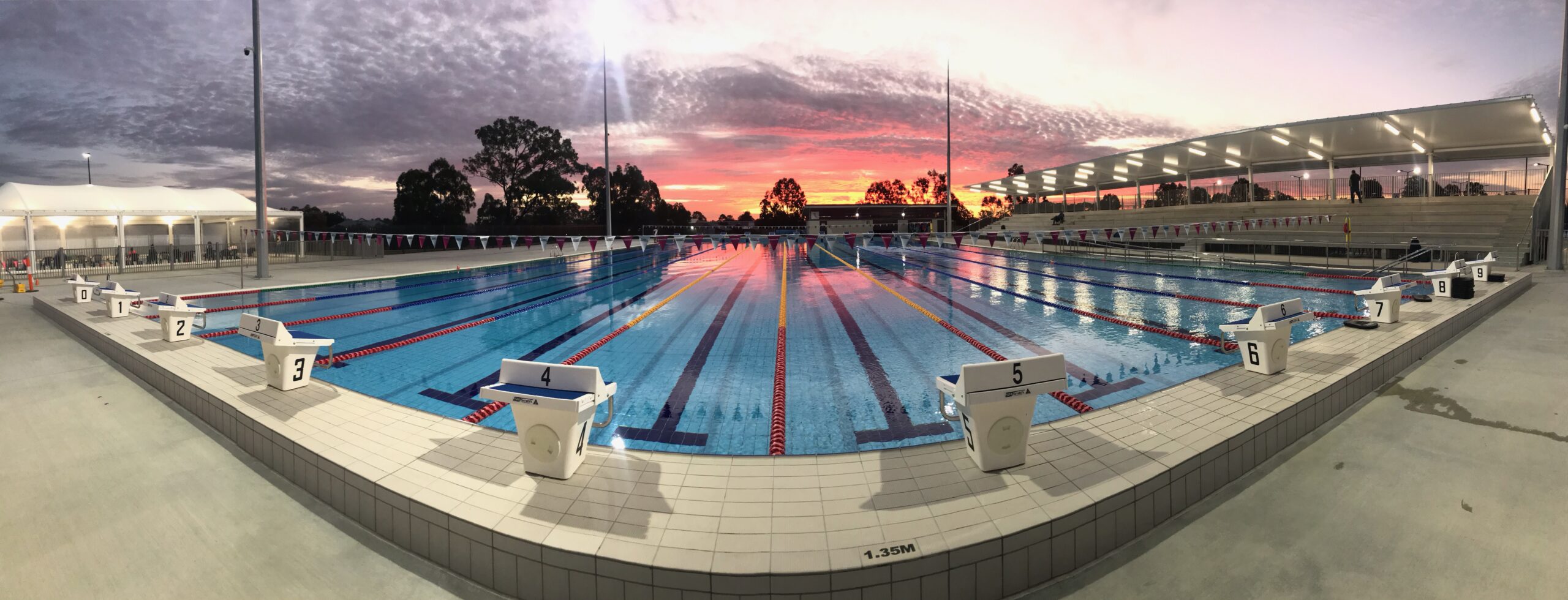 Canterbury Taipans Swimming Squads Development Program Canterbury