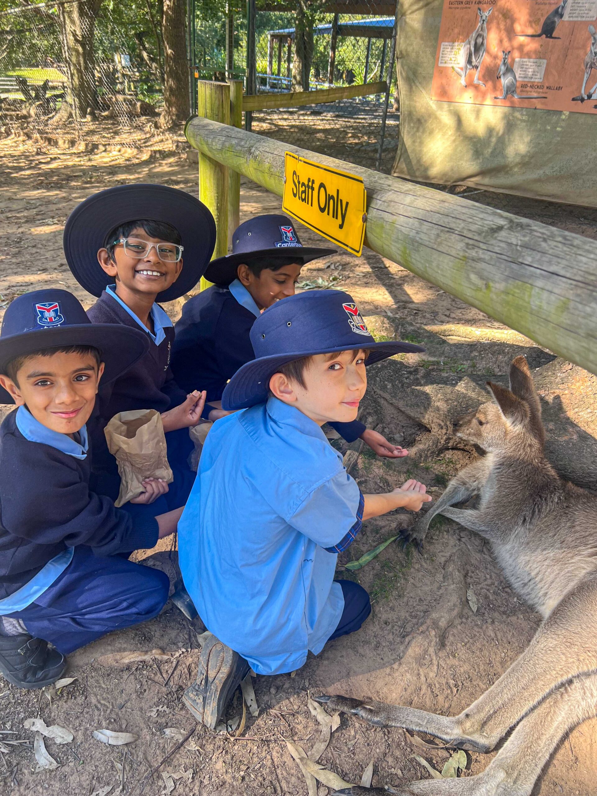 Year 3 Science Excursion to Lone Pine Koala Sanctuary | Photo Gallery ...
